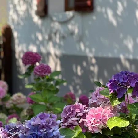 Holiday home Bell House Bukkzserc