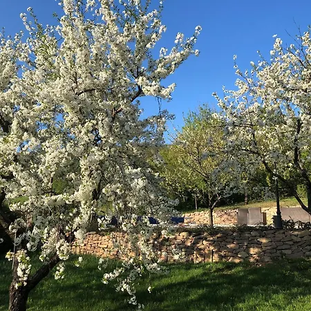 Bell House Holiday home *