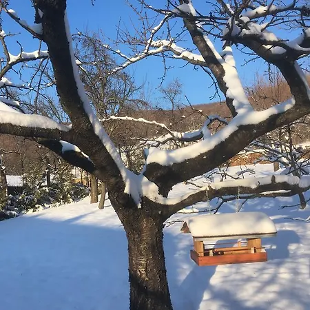 Bell House * Bukkzserc