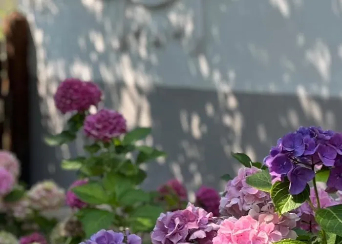 度假居 Bell House Bukkzserc