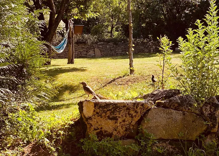 度假居 Bell House Bukkzserc