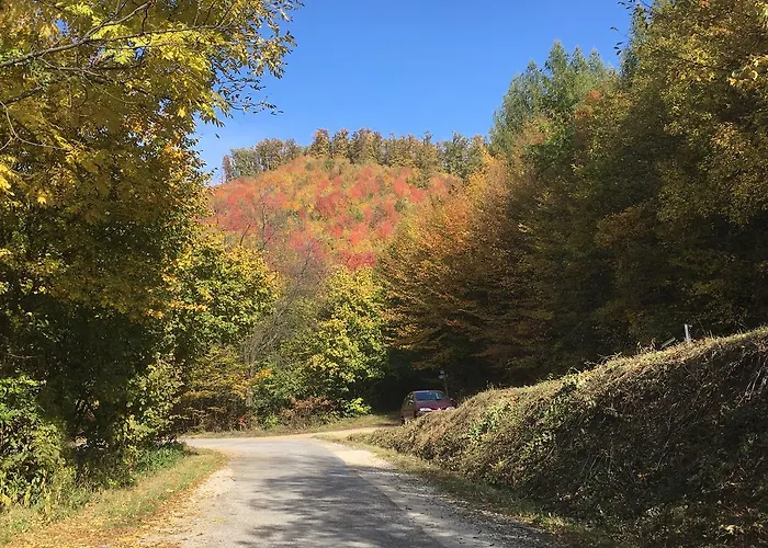 Bell House * Bukkzserc