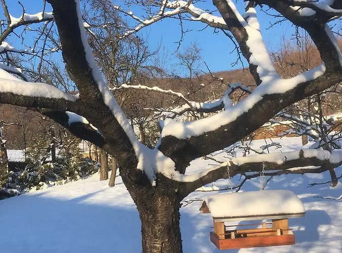 Bell House * Bukkzserc